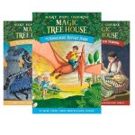 Magic tree house by Mary Pope Osborne (Author) , Sal Murdocca (Author) , AG Ford (Illustrator)