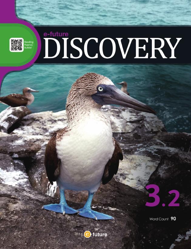 Download e-future Discovery Reading: high quality PDF, PPT, resources 9 Download e-future Discovery Reading: high quality PDF, PPT, resources - Image 9